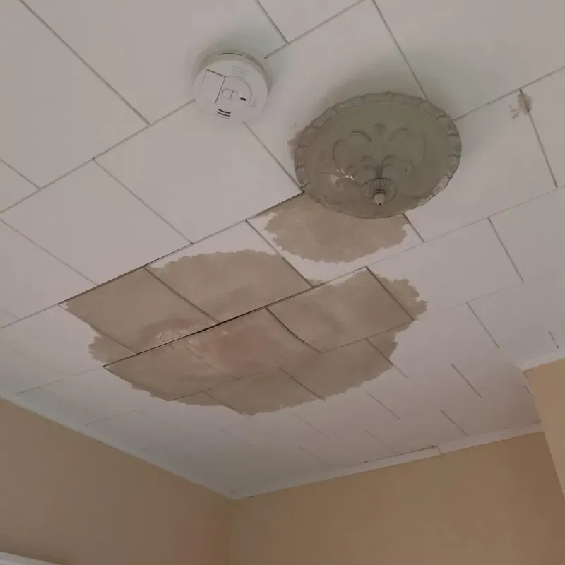 Ceiling Water Damage Repair in Dakota County, NE
