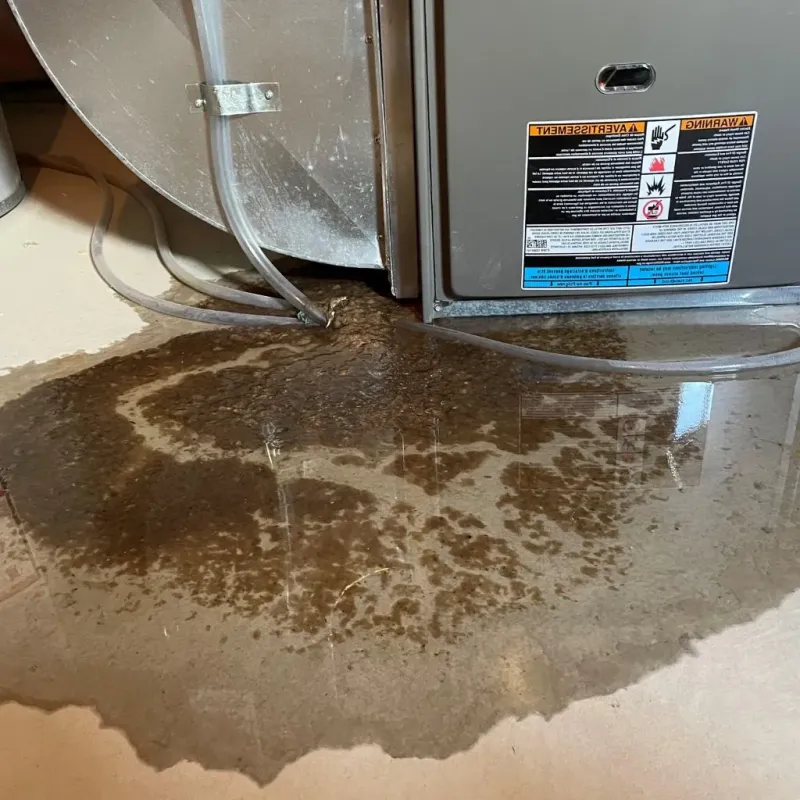 Pipe Burst and Leak Restoration in Dakota County, NE