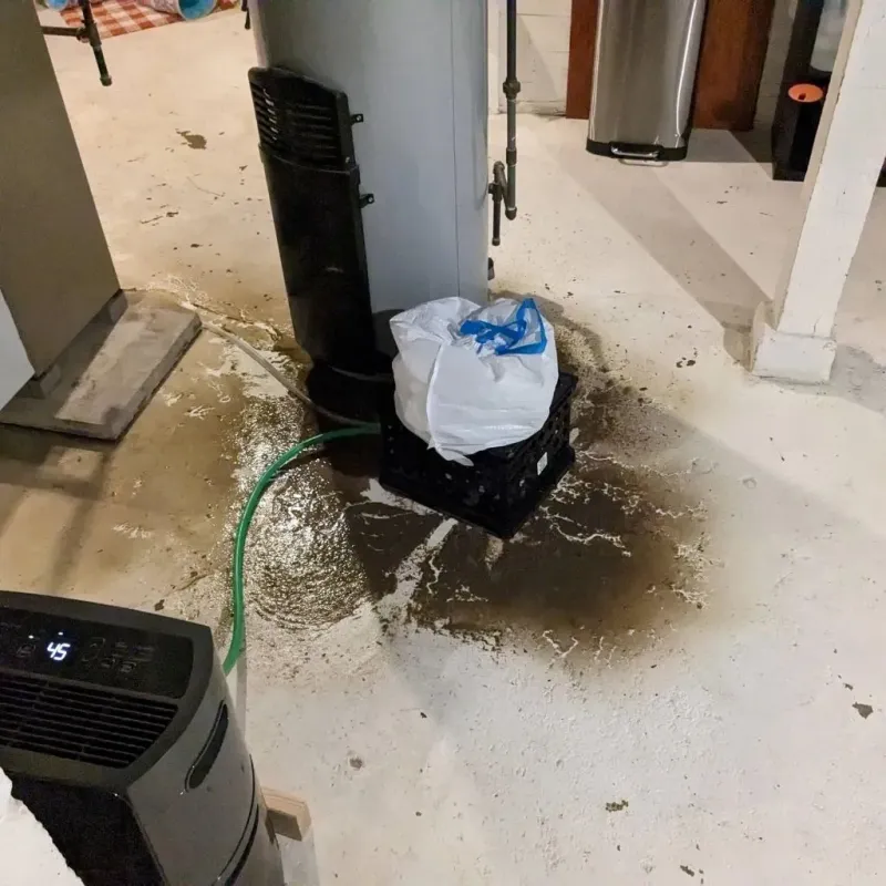 Sewage Backup Cleanup Service in Dakota County, NE